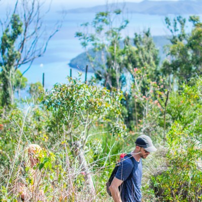 Walk the Whitsundays