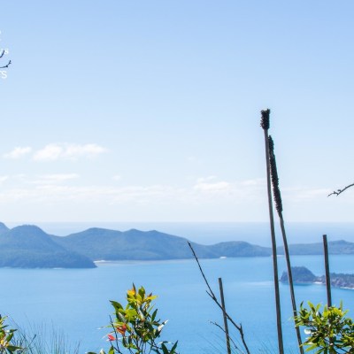 Walk the Whitsundays