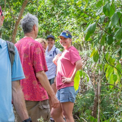 Walk the Whitsundays
