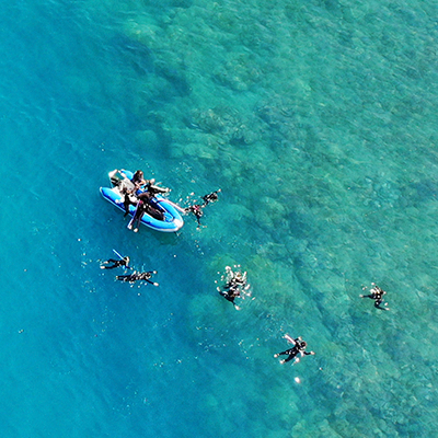 a group of people swimming in a pool of water