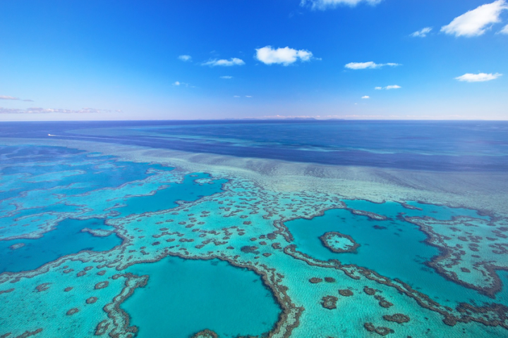 a view of water and a mountain in the background