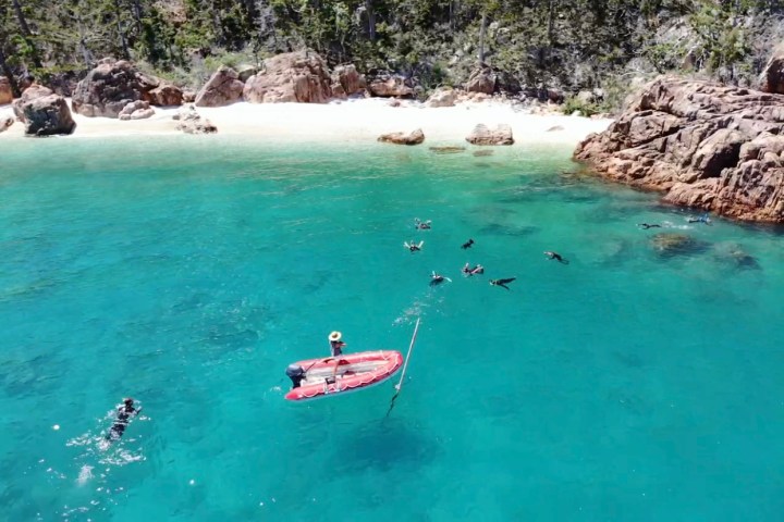 a group of people in a body of water