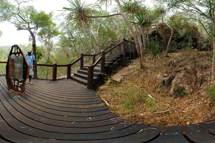 a bench next to a tree