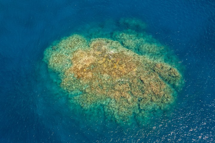 Aerial view of a coral reef surrounded by deep blue ocean.