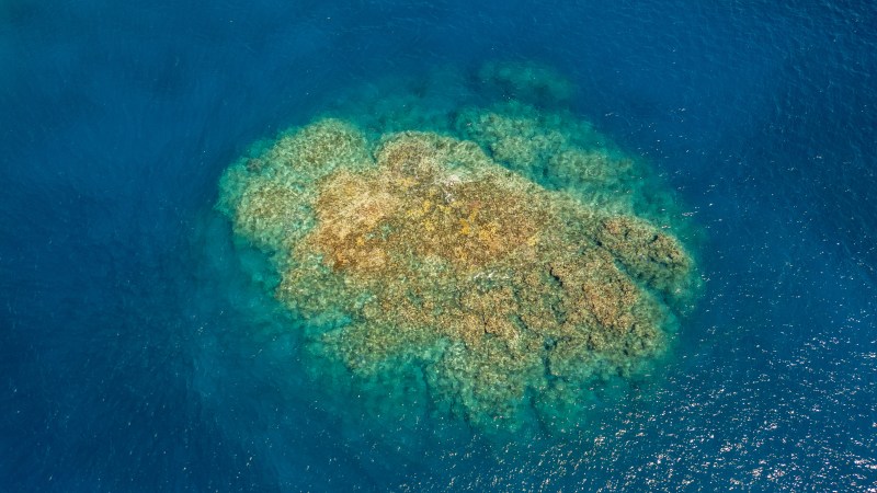 Aerial view of a coral reef surrounded by deep blue ocean.