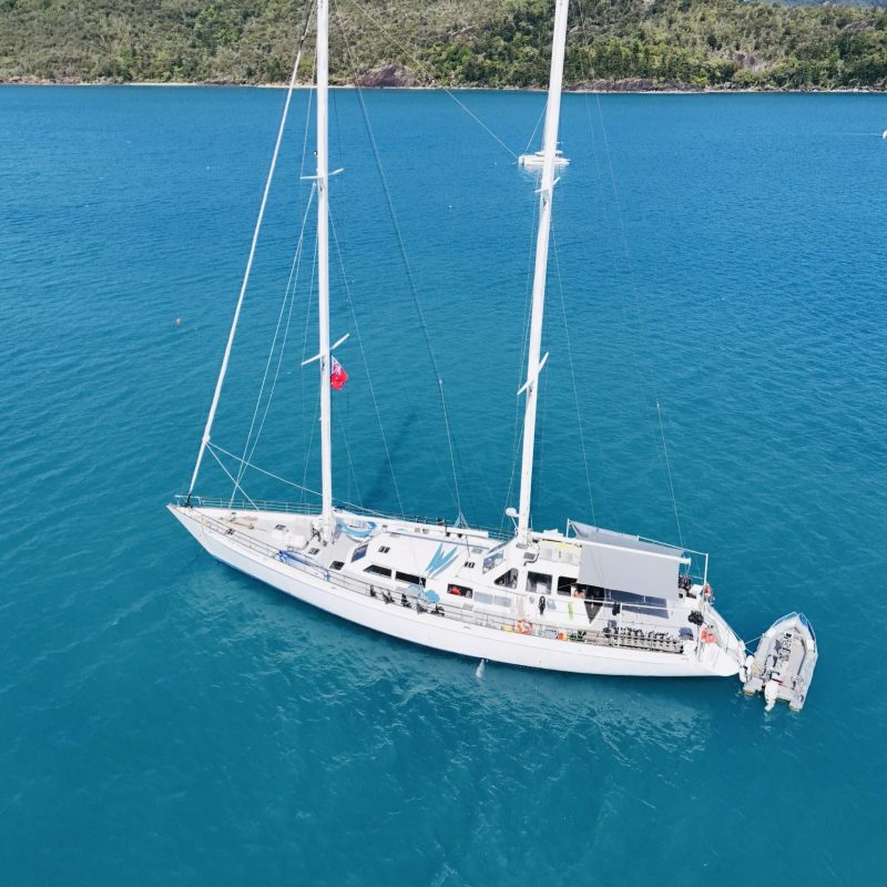 A white sailboat on blue water near a lush green island.