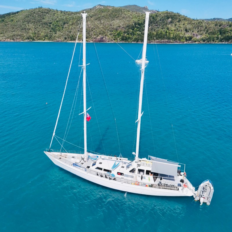 A white sailboat on blue water near a lush green island.