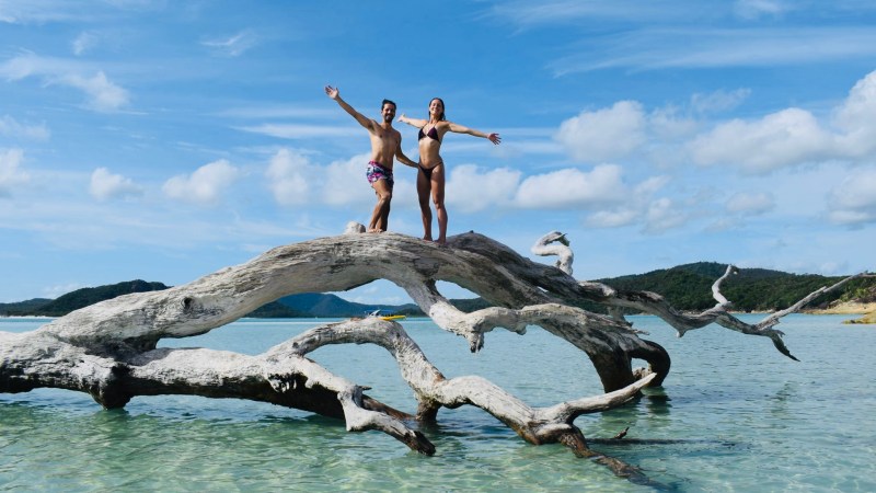 Two people standing on a large driftwood in clear water under a blue sky.