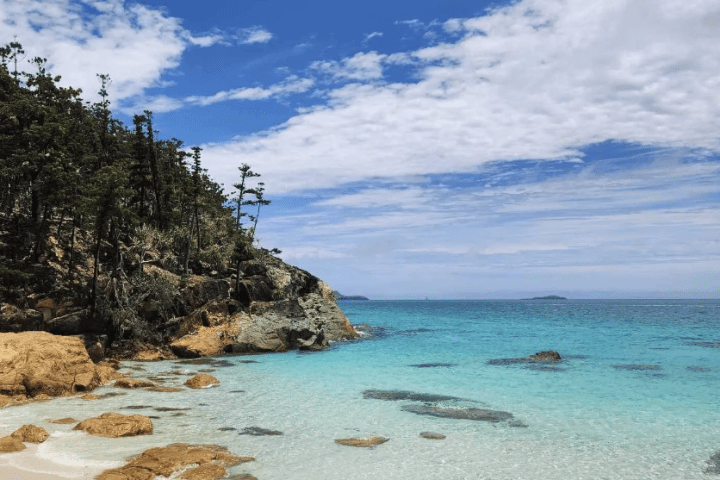 a group of people on a beach near a body of water