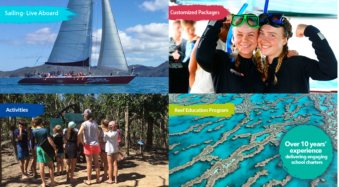 a person standing in front of a crowd of people at a beach
