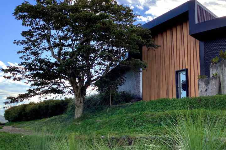Modern wooden house next to a large tree on a grassy hillside under a blue sky.
