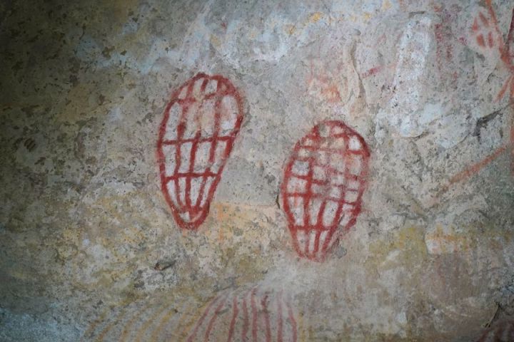 Two red, oval shapes with grid pattern on a textured stone surface.